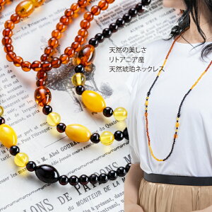  OlbNX RnN lbNX y AM[Ή WG[ ANZT[ fB[XWG[ v[g t@bV iۏ 30 40 50 60  bs