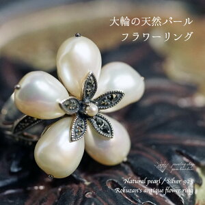 R p[ }[JTCg Vo[ w AeB[N  6 a ^ O fB[X WG[ ANZT[ t@bV SVbN v[g iۏ 30 40 50 60 