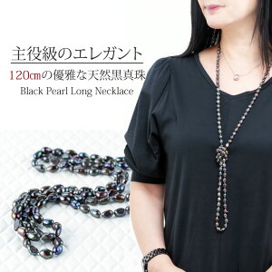 y120cm O zVR ubNp[ OlbNX ^ lbNX p[ AM[Ή 6 w WG[ ANZT[ iۏ 30 40 50 60 t@bV v[g 