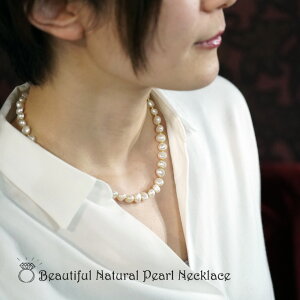 VR p[ lbNX 6 a VR S[hJ[ ^ WG[ ANZT[ w fB[XWG[ v[g t@bV iۏ 30 40 50 60  b