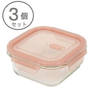 お買い得 3個セット 耐熱ガラス 保存容器 正方形 480ml バルブ付 ディッシュプラス HB-5958 -3 食品保存 電子レンジ オーブン 対応 冷凍 保存 おかず 作り置き 食洗機対応 クリア 透明 角型 おしゃ
