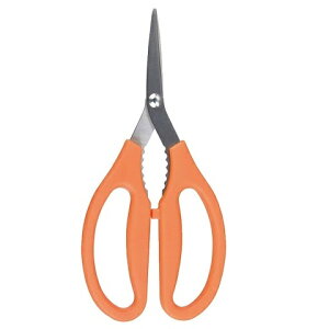 Lb`oT~ אn JjoT~ ֗ C-3819 IoT~ Lb`͂  ΂ I Jj k JjnT~ Jj   H Jbg p[