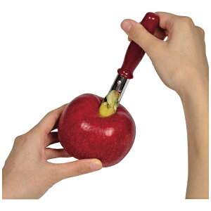  c KWFR CC-1257 S c ȒP p[