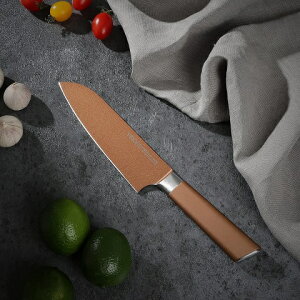 VISIONS �O��� �i�C�t 165mm �J�[�{���X�e�����X�� GOLD Coating CP-8821 � 16.5cm ������� �r�W���� �p�[������