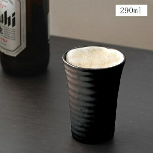 ビアカップ 陶器製 ビールカップ 290ml L-7519 ビアグラス タンブラー 酒器 ビールグラス 和食器 おしゃれ パール金属 敬老の日 プレゼント