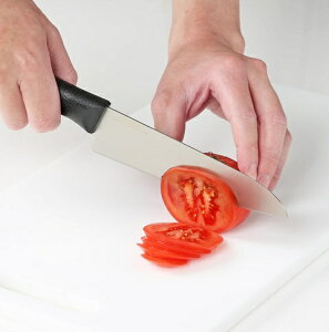 `^  16cm TOUCH st F-2419 R CI y y `^nCubg O nn 15.5cm Lb`iCt ؂ꖡ H@Ή { qI p[ tH[Go[ FOREVER