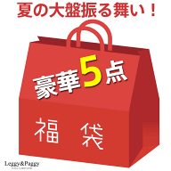 夏のお楽しみ袋！夏の運試し【お一人様1点限り】大赤字大放出の太っ腹企画 豪華5点福袋 ランダム5点詰め…
