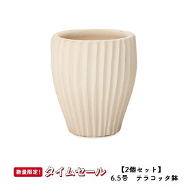 【春の応援フェス】【2個セット】サフィ　36W　Sサイズ 　≪植木鉢/陶器/白系テラコッタ/素焼き鉢/セール対象4J/セール対象1≫