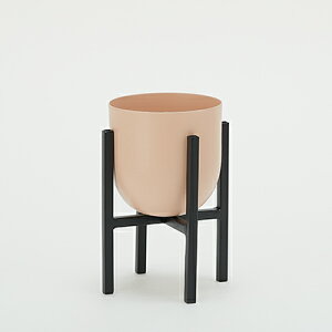 yAؔz~[T NX 12 X^htyAؔ  Jo[ K[fG 킢 CeA Z[ΏFz