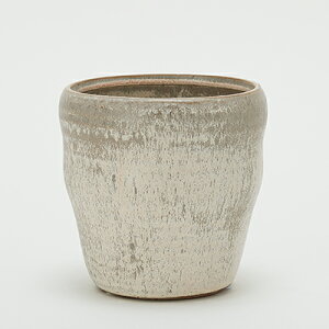 y݌ɌzeGX 11 WByAؔ  Jo[ K[fG 킢 CeA ~j|bgJo[ Z[ΏFz