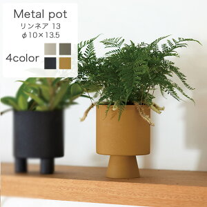 lA 13yAؔ  Jo[ K[fG 킢 CeA FARM4z