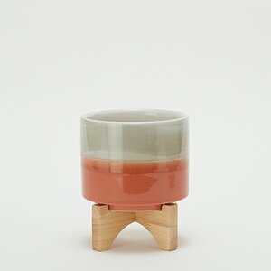 yAؔzj^ 15 & X^hyAؔ  Jo[ K[fG 킢 CeA ~j|bgJo[ FARM1z