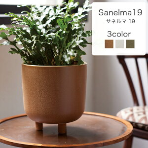 Tl} 19yAؔ  Jo[ K[fG 킢 CeA FARM Z[ΏFiꕔJ[jz