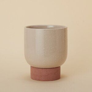 XT 18 󂯎MtyAؔ  Jo[ K[fG 킢 CeA FARMz