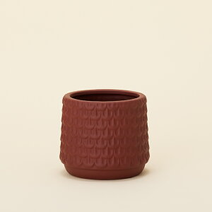 AbV 11yAؔ  Jo[ K[fG 킢 CeA Z[ΏFz