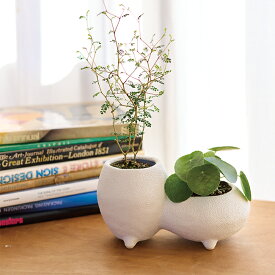 シスコ 12【植木鉢 おしゃれ 鉢カバー ガーデン雑貨 かわいい インテリア FARM】