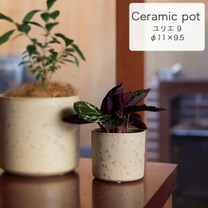 y݌ɌzG 9 Aؔ Jo[ v^[  y CeA ChA  e[u|bg FARM1 Z[ΏF