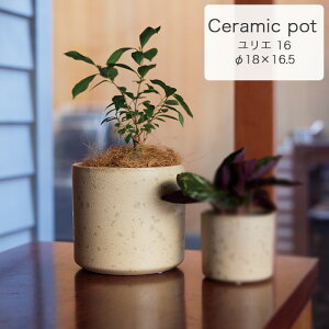 y݌ɌzG 16 Aؔ Jo[ v^[  y CeA ChA  e[u|bg FARM1 Z[ΏF