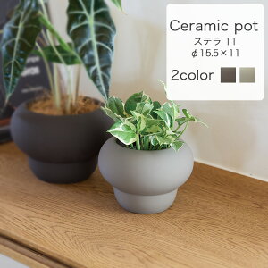 Xe 11yAؔ  Jo[ K[fG 킢 CeA FARMz