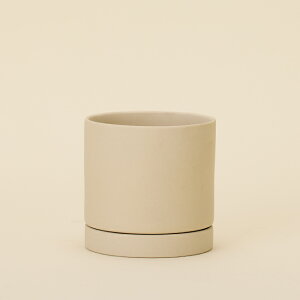 픫 [c 11 󂯎MtyAؔ  K[fG 킢 CeA  z