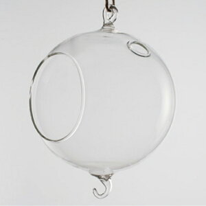 nMOxCX {[16 @Aؔ K[fG KX Ԋ nMOx[X  킢 CeA