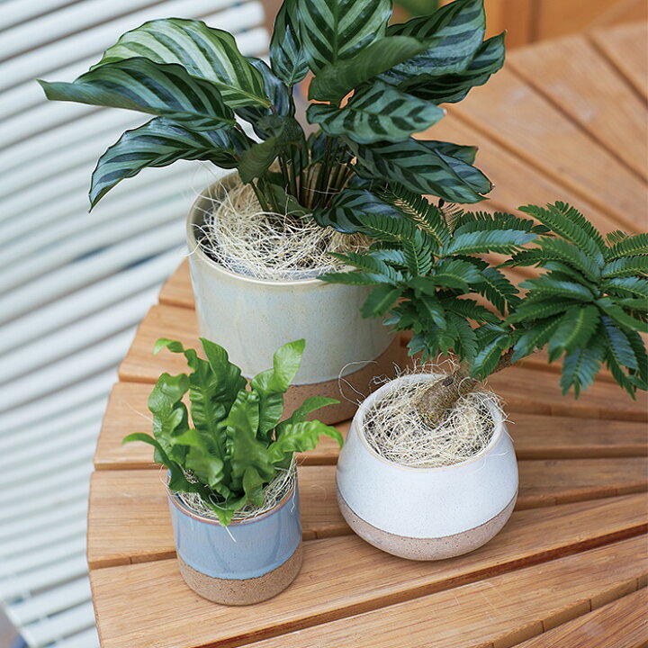 楽天市場 ハンナ 7 植木鉢 おしゃれ 鉢カバー ガーデン雑貨 かわいい インテリア ミニポットカバー Farm1 植木鉢 テラコッタ専門店 バージ