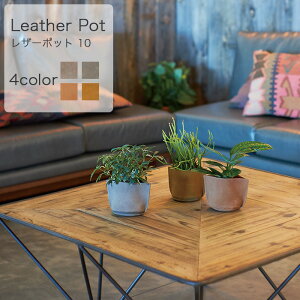 yAؔzU[|bg 10yAؔ  Jo[ K[fG 킢 CeA v Z[ΏFz