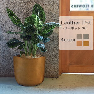 yAؔzU[|bg 30yAؔ  Jo[ K[fG 킢 CeA v Z[ΏFz