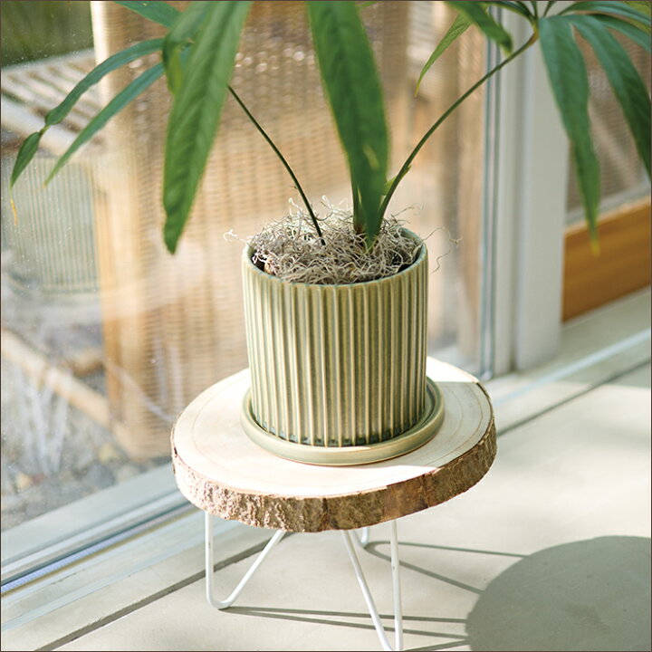 楽天市場 イロ 16 受け皿付き 植木鉢 おしゃれ 鉢カバー ガーデン雑貨 かわいい インテリア Farm 植木鉢 テラコッタ専門店 バージ