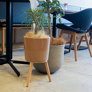 yAؔzGi 40yAؔ  Jo[ K[fG 킢 CeA |bgJo[ FARM1 Z[ΏFiꕔJ[jz