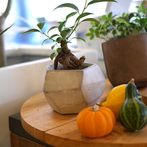 O 9@Aؔ K[fG Jo[  킢 Zg CeA