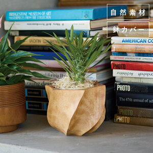 }S[|bg PyAؔ  Jo[ K[fG 킢 CeA FARMz