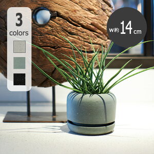 |Xg[Aؔ GT 11 󂯎MtyAؔ  K[fG 킢 CeA   FARM1z