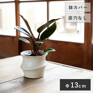 eGX 10 JAyAؔ  Jo[ K[fG 킢 CeA ~j|bgJo[z