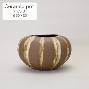 C@i 23 Aؔ Jo[ v^[  y CeA ChA  FARM1