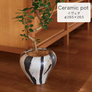 CF^ 26 Aؔ Jo[ v^[  y CeA ChA  FARM1