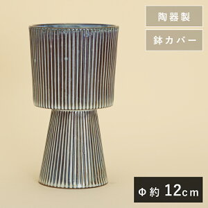 eU 20 ByAؔ  Jo[ K[fG 킢 CeA FARMz