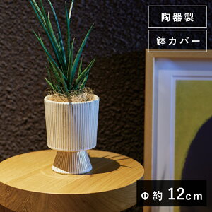 eU 16 WyAؔ  Jo[ K[fG 킢 CeA FARMz