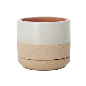 y݌Ɍz󂯎Mt픫 LV10 󂯎MtyAؔ  K[fG 킢 CeA   Z[ΏFz