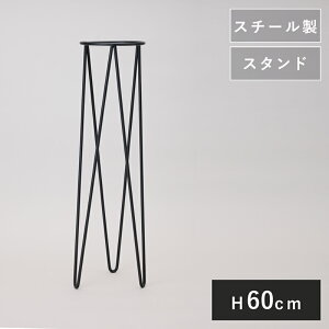 |bgX^h T[JX 60 @Aؔ K[fG   ACAX^h X`[ CeA