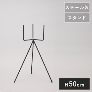 |bgX^h tH[N 50 @Aؔ K[fG   ACAX^h X`[ CeA