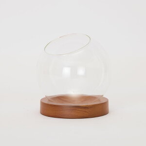 【植木鉢】【ガーデン雑貨】スモール テラリウム B 15【植木鉢 おしゃれ 鉢カバー ガーデン雑貨 かわいい インテリア コケリウム エアプランツ ハイドロカルチャー】