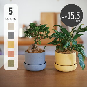 y󂯎Mʔzt[Y|bg 13yAؔ  K[fG 킢 CeA   FARM1z