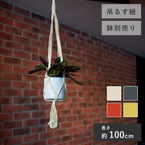 コットンプラントハンガー ≪植木鉢 ガーデン雑貨 プラントハンガー おしゃれ かわいい ナチュラル インテリア セール対象F(一部カラー)≫