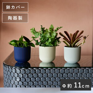 y݌ɌzGZ 10yAؔ  Jo[ K[fG 킢 CeA FARM Z[ΏFz