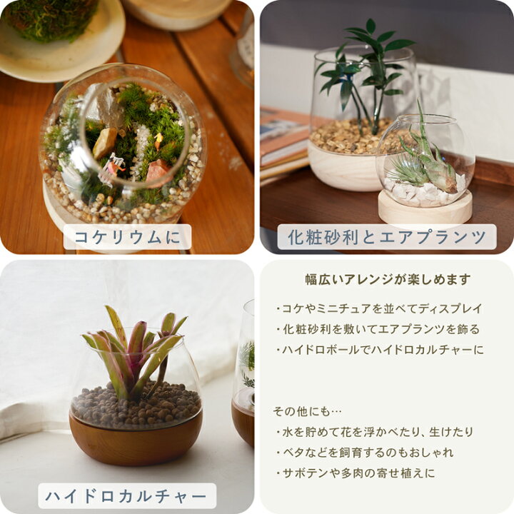 楽天市場】【植木鉢】【ガーデン雑貨】スモール テラリウム B 11 