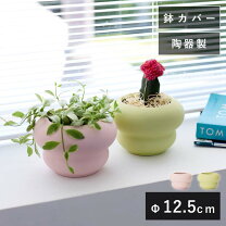 楽天市場】アント ステラ 陶器の通販