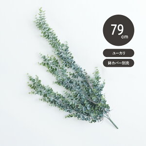 yԁzytFCNO[z[J nMOubV yCeA ϗtA lHA  Ǌ| A[eBtBVt[z