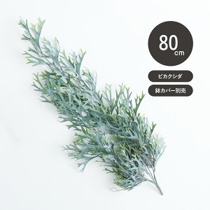 yԁzytFCNO[zrJNV_ nMOubV u[ yCeA ϗtA lHA  Ǌ| A[eBtBVt[z