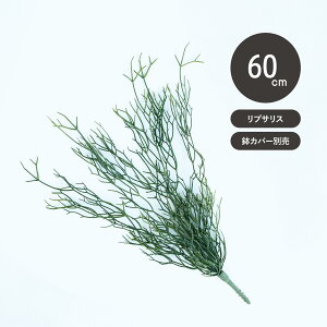 yԁzytFCNO[zvTX@nMOubV yCeA ϗtA lHA  Ǌ| A[eBtBVt[ Z[ΏFfz